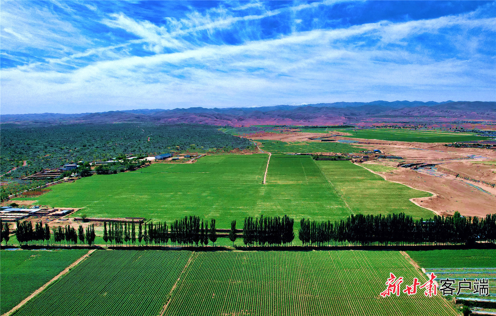八步沙林场的绿色屏障，守护了周边农田和村庄。本文图片均由新甘肃&middot;甘肃日报记者金奉乾摄