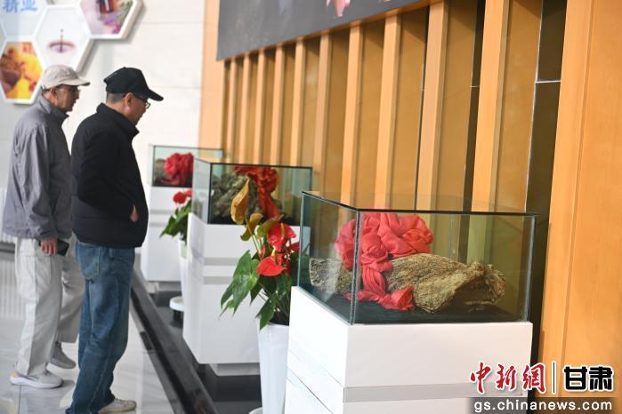 图为10月22日，来自加拿大、爱尔兰、德国、韩国等国家和地区的海外华文媒体融合采访团走进位于兰州市皋兰县的标杆企业甘肃泛植制药。刘潇　摄