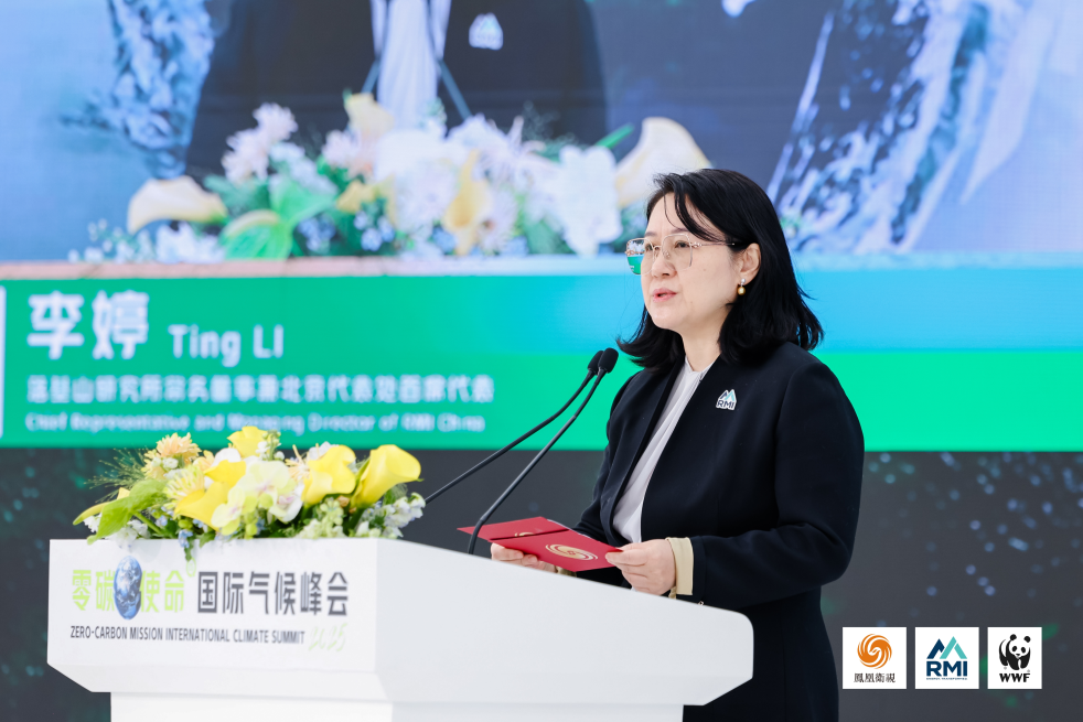 落基山研究所常务董事兼北京代表处首席代表李婷发表开幕致辞