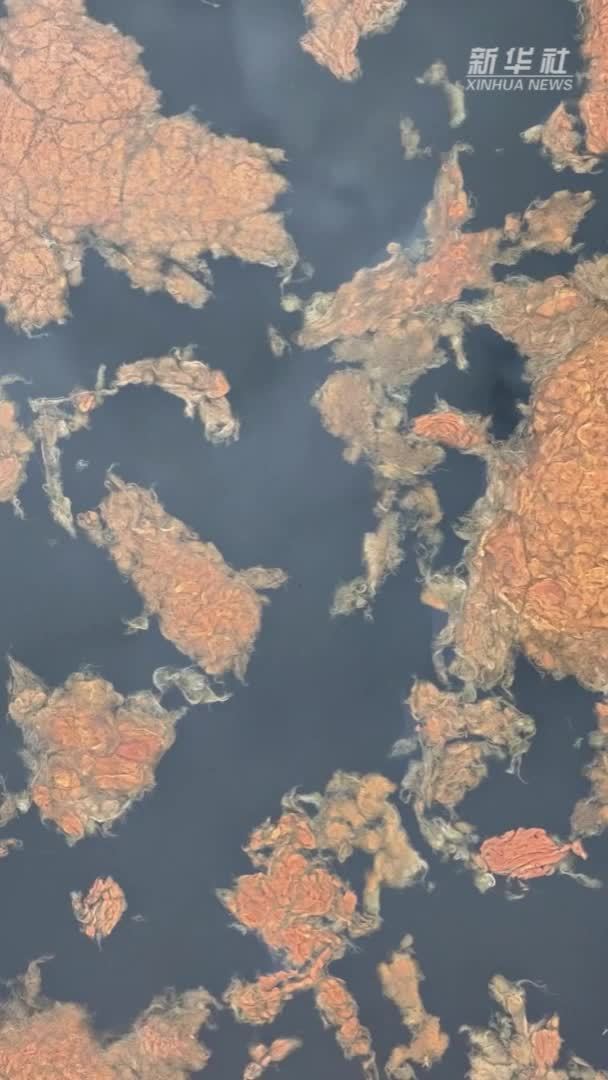 湿地秋语｜风起西海固 波涌震湖秋