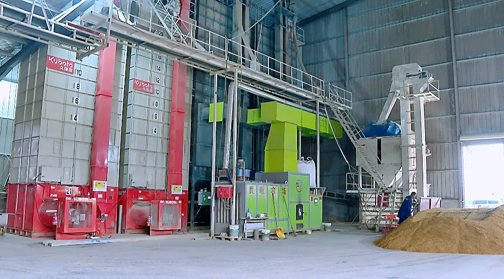 沛县,收稻!1800台农机决战秋收