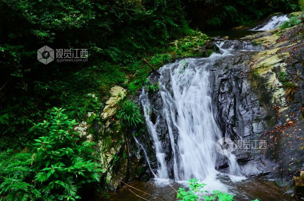深秋时节，江西省永新县三湾乡的九陇山，迎来了一年中最富诗意的时刻。数十处形态各异的瀑布如白练倾泻而下。潺潺流水与漫山彩林交相辉映，宛若一幅浑然天成的巨幅油画。