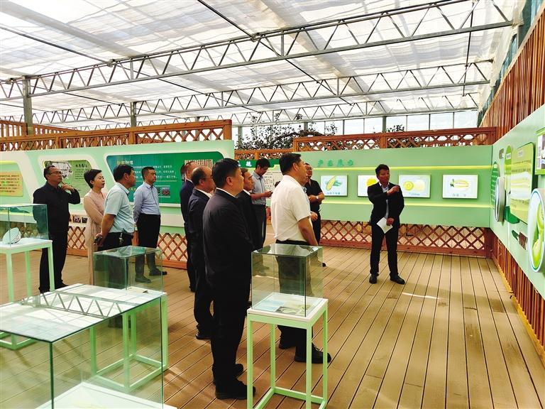 中国农技协领导参观白兰瓜展馆