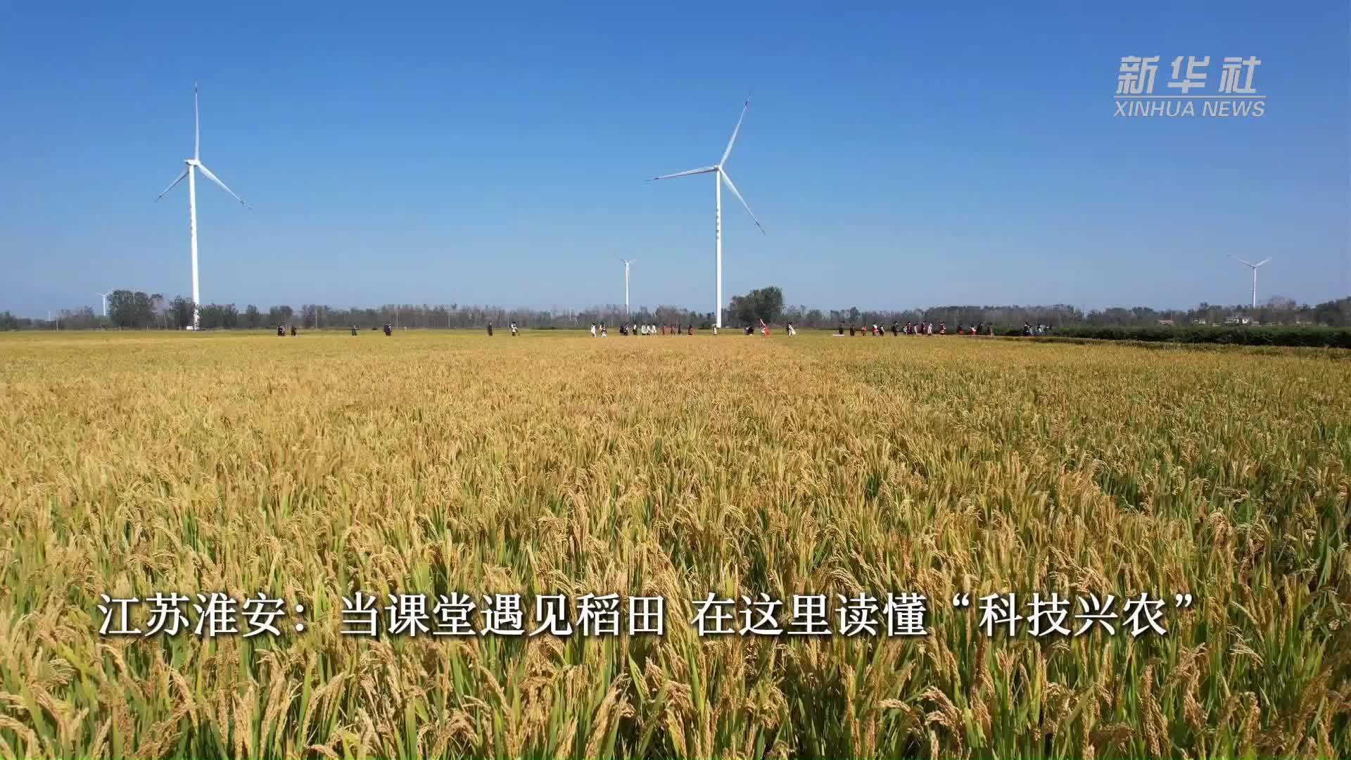 江苏淮安：当课堂遇见稻田 在这里读懂“科技兴农”