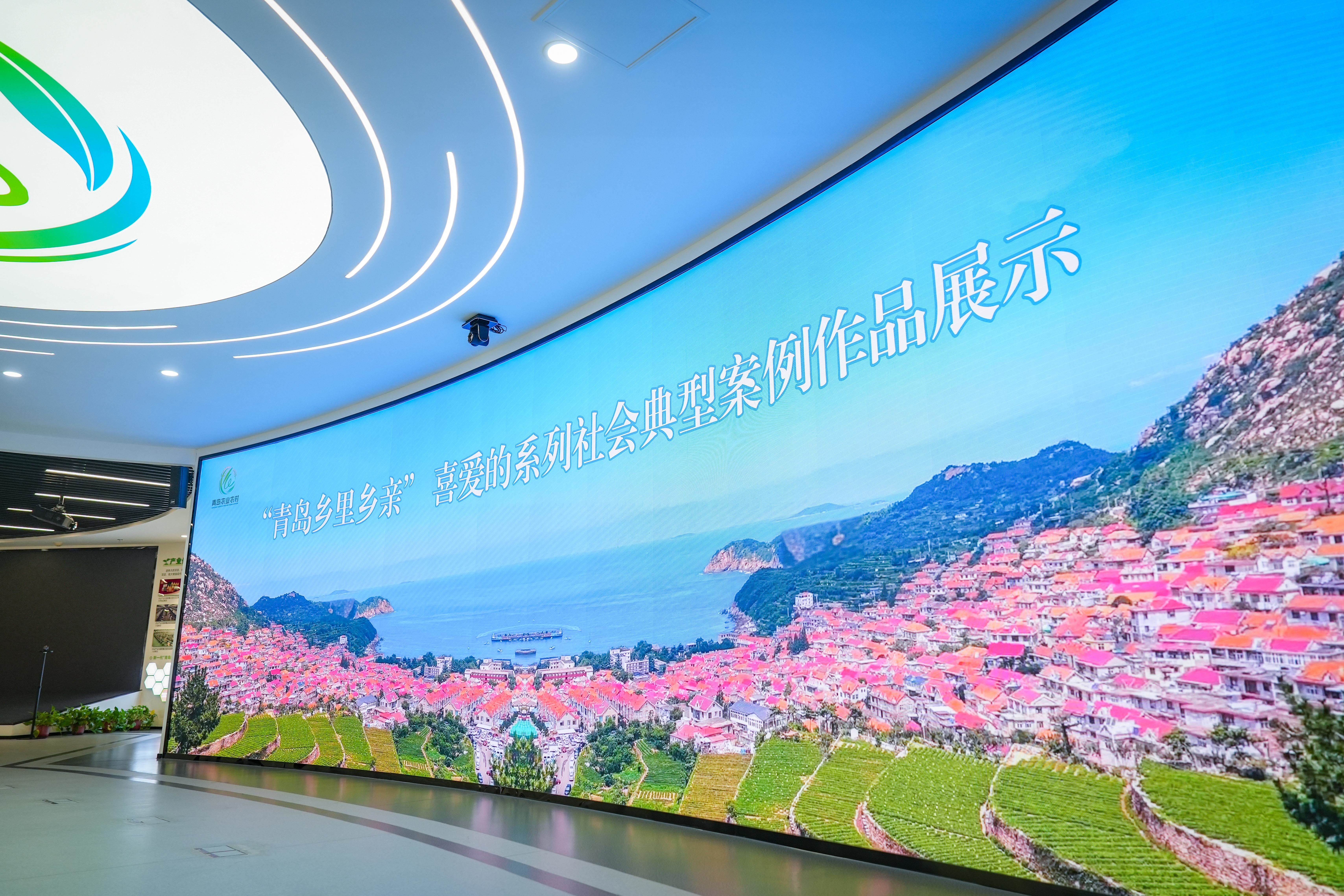 挖掘乡村典范 凝聚振兴力量!青岛“乡里乡亲”系列社会典型征集亮点纷呈