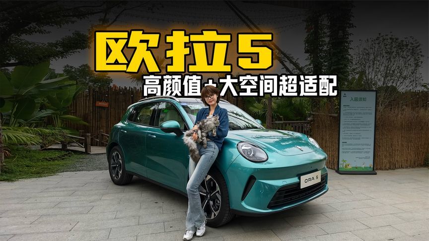 欧拉5：年轻人+萌宠座驾，高颜值+大空间超适配