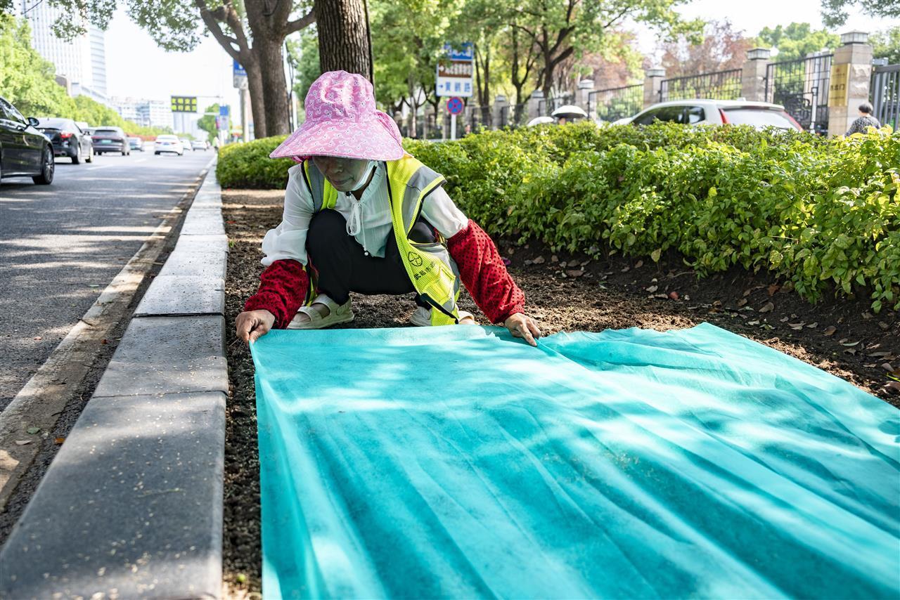 铺设无纺布 (1).jpg