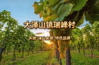 大泽山镇瑞峰村 叫响“泽山名宿”特色品牌