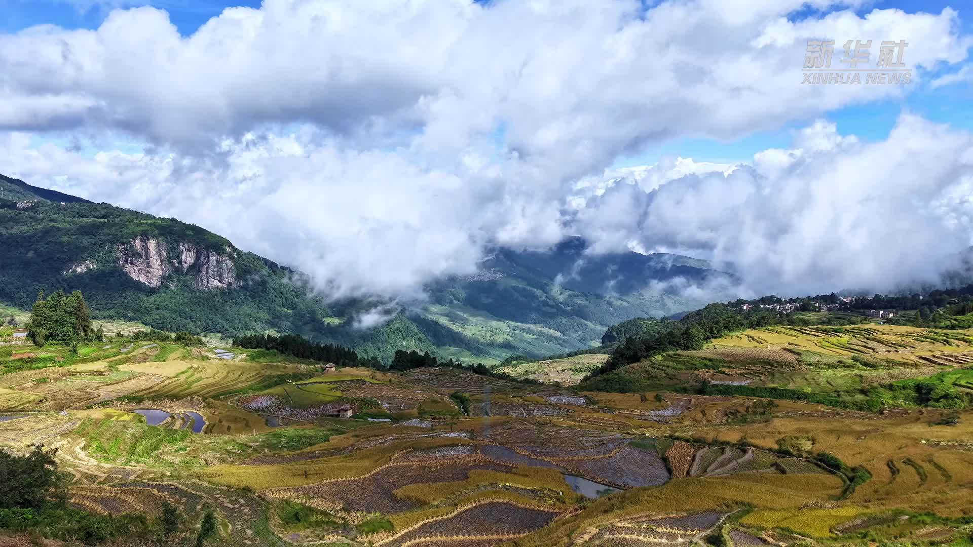 哈尼梯田：秋收褪去金黄 大地轮廓尽显