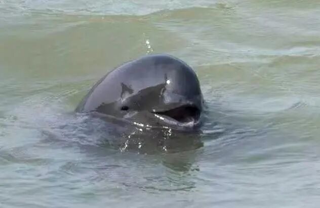 图片来源：南京生态环境微信公众号