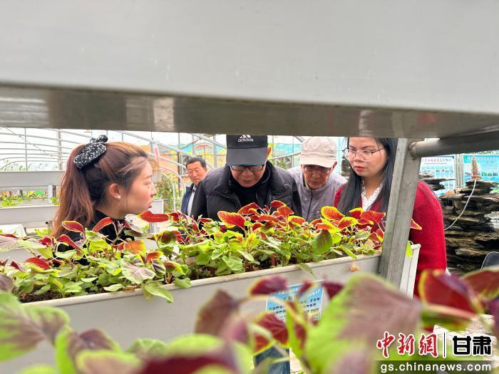 图为10月22日，来自加拿大、爱尔兰、德国、韩国等国家和地区的海外华文媒体融合采访团走进兰州市皋兰县什川镇下泥湾村的绿旺科技服务专业合作社。刘潇　摄