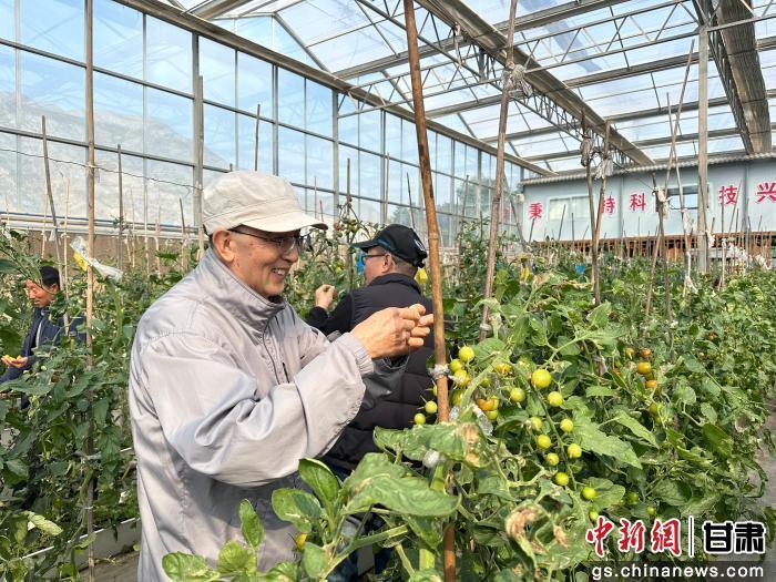 图为10月22日，来自加拿大、爱尔兰、德国、韩国等国家和地区的海外华文媒体融合采访团走进兰州市皋兰县什川镇下泥湾村的绿旺科技服务专业合作社。刘潇　摄