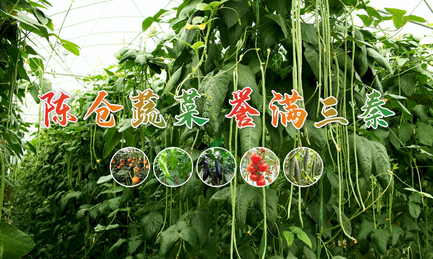 聚焦新质生产力 亮出“宝农优品”!宝鸡市精心筹备第三十二届杨凌农高会