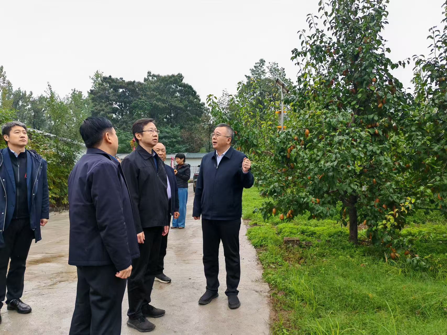 秋雨送凉 真情送暖  光大银行郑州分行助力乡村文化广场建设