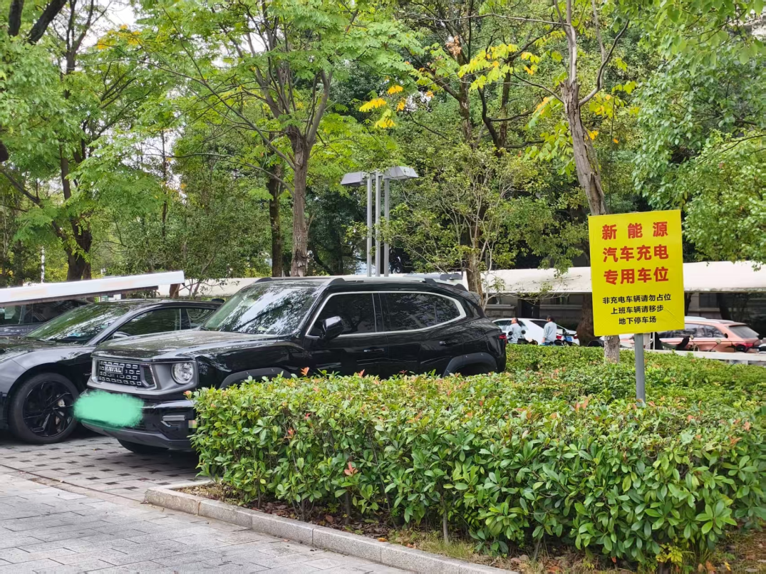（提醒标识牌旁占用充电车位的新能源车辆）