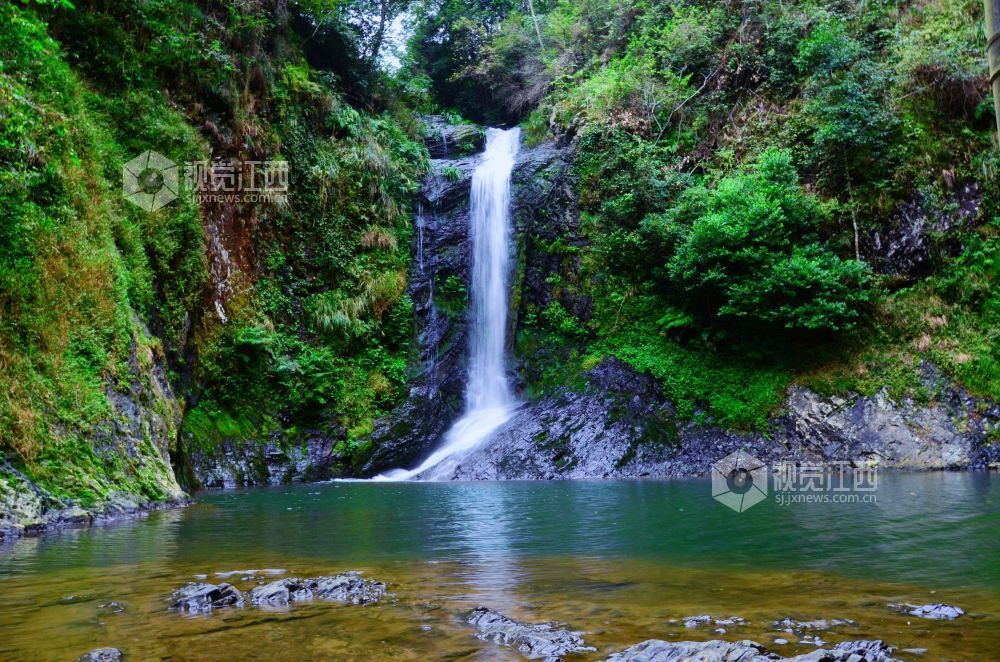 深秋时节，江西省永新县三湾乡的九陇山，迎来了一年中最富诗意的时刻。数十处形态各异的瀑布如白练倾泻而下。潺潺流水与漫山彩林交相辉映，宛若一幅浑然天成的巨幅油画。