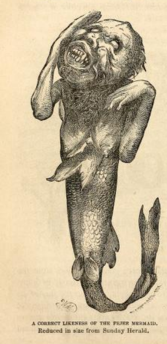 Barnum展出的斐济美人鱼(源自《P.T. Barnum自传》,1855版)