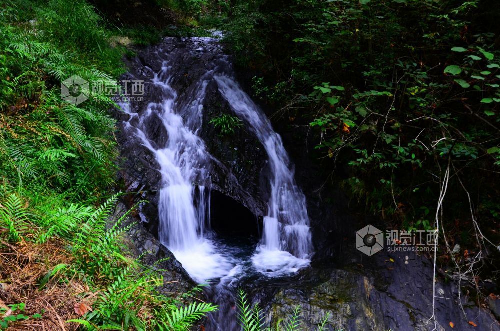 深秋时节，江西省永新县三湾乡的九陇山，迎来了一年中最富诗意的时刻。数十处形态各异的瀑布如白练倾泻而下。潺潺流水与漫山彩林交相辉映，宛若一幅浑然天成的巨幅油画。