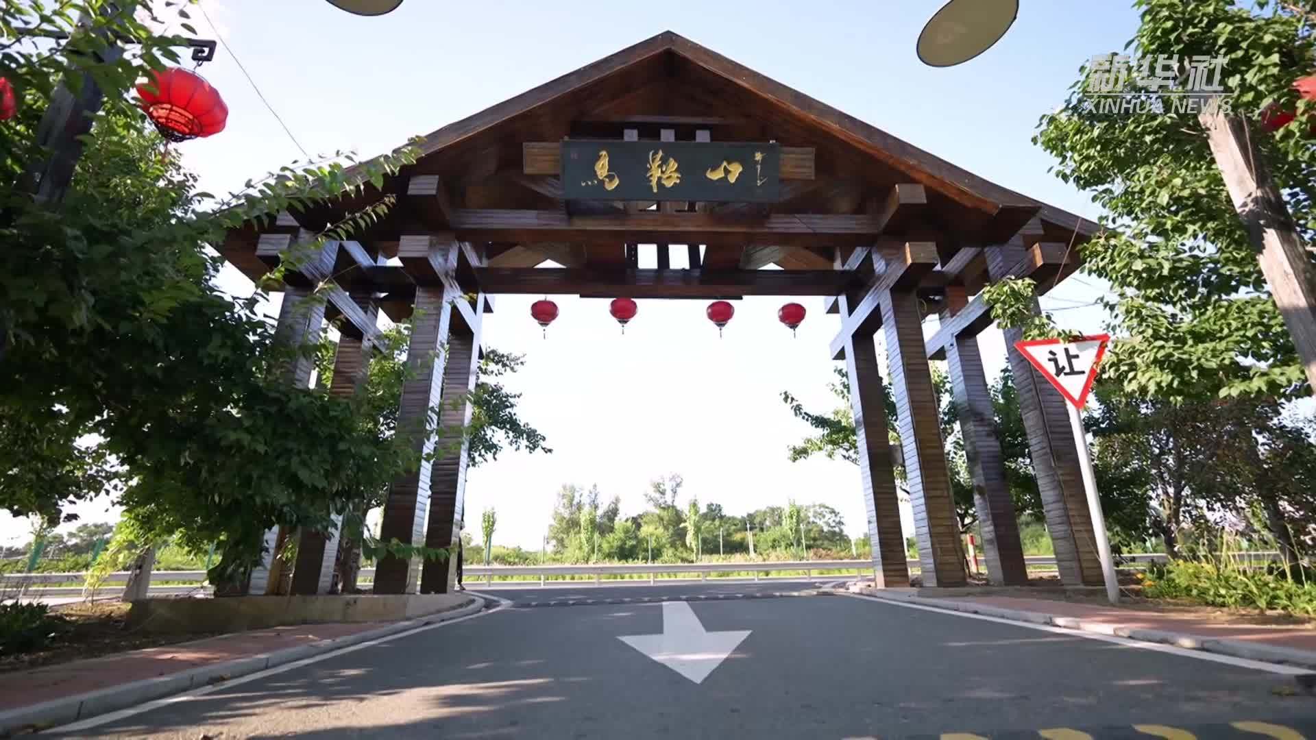 从“穷山村”到“绿富美”：一个村的乡村振兴之路