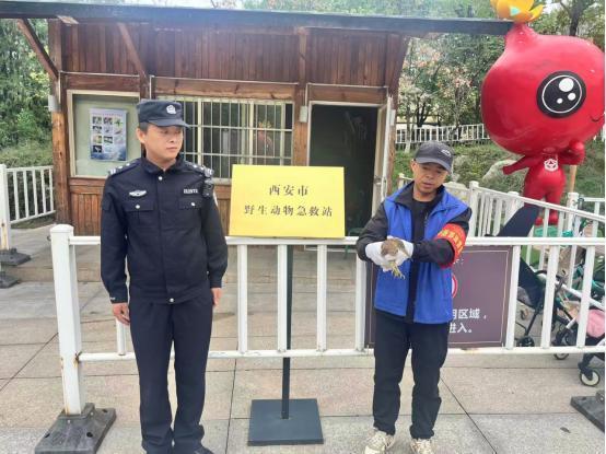 民警将池鹭送往西安市野生动物急救站(西咸公安供图)