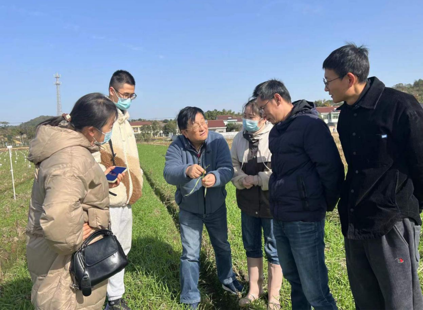 浙大专家来到余姚稻麦科技小院进行现场指导。