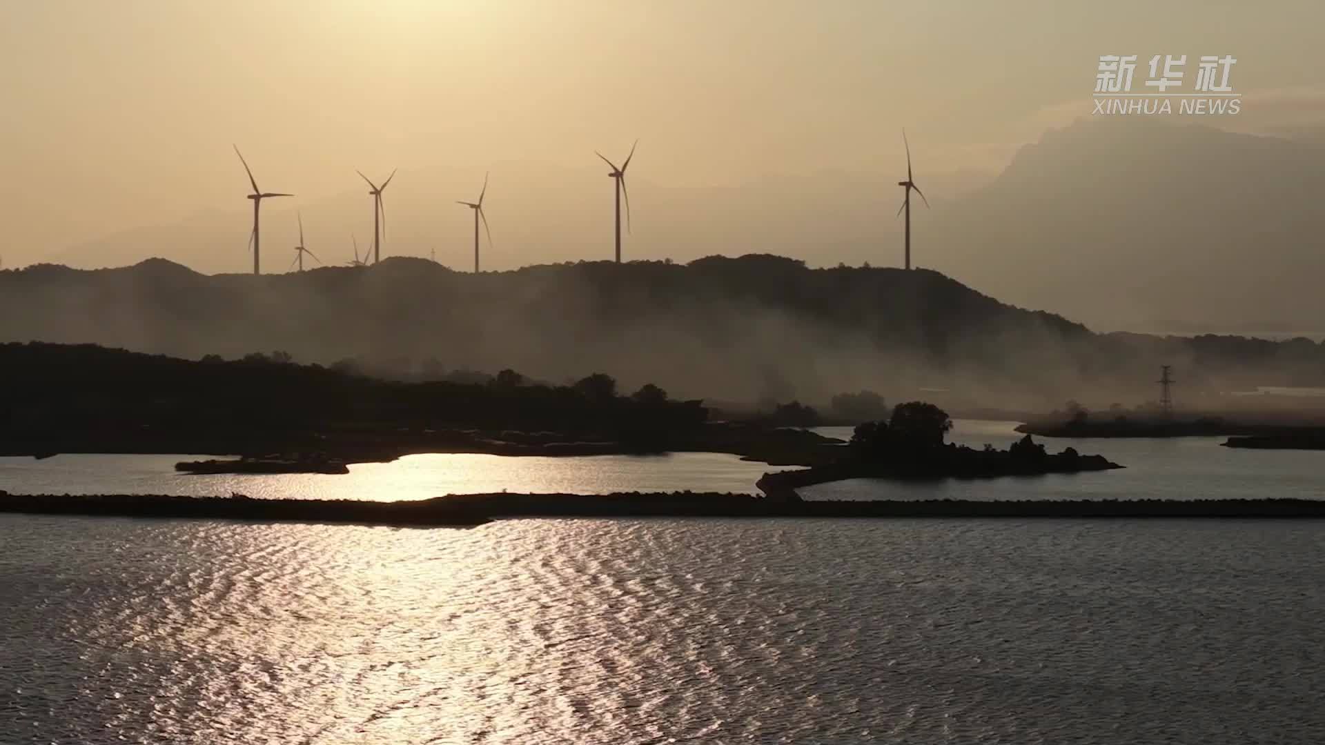 大批鸬鹚飞抵鄱阳湖湖口水域