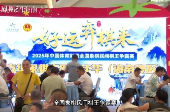 2025年海南省级象棋嘉年华活动圆满落幕