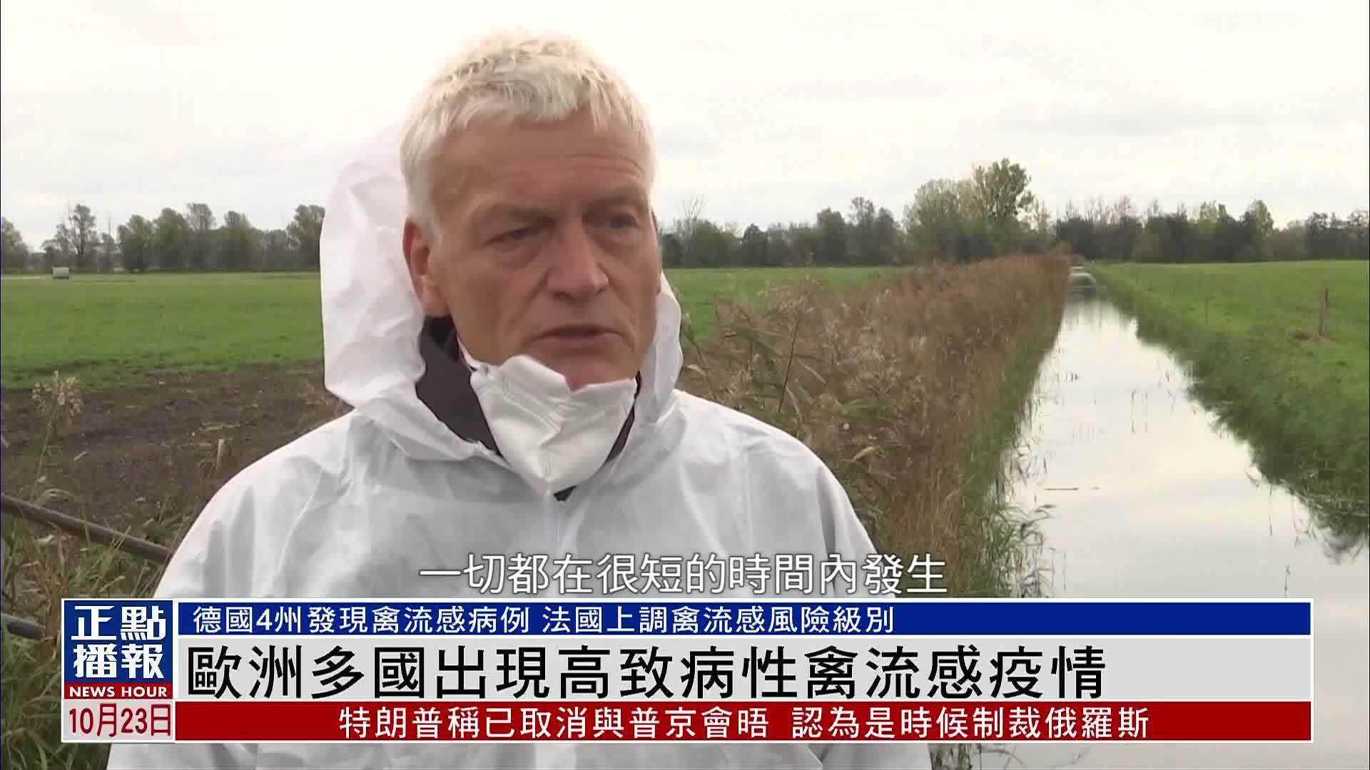 欧洲多国出现高致病性禽流感疫情