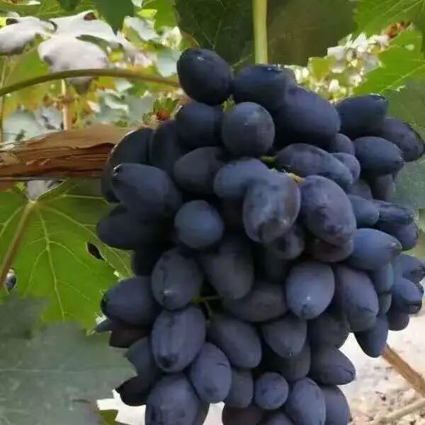 图源：武威日报