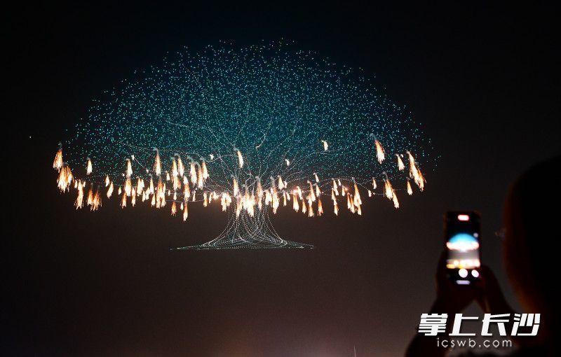 一株“参天大树”拔地而起，千发“金羽”烟花在树冠间流光溢彩、灵动起舞。