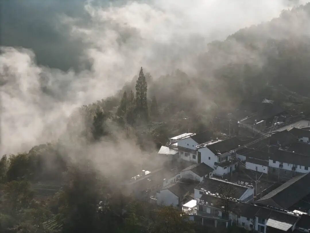 ▲宁波发布特约摄影师 徐学栋/摄