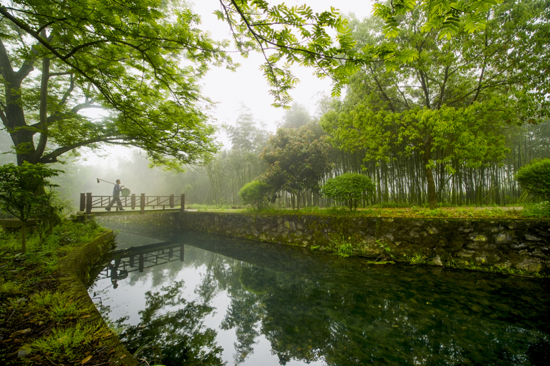 象山大雷溪小流域
