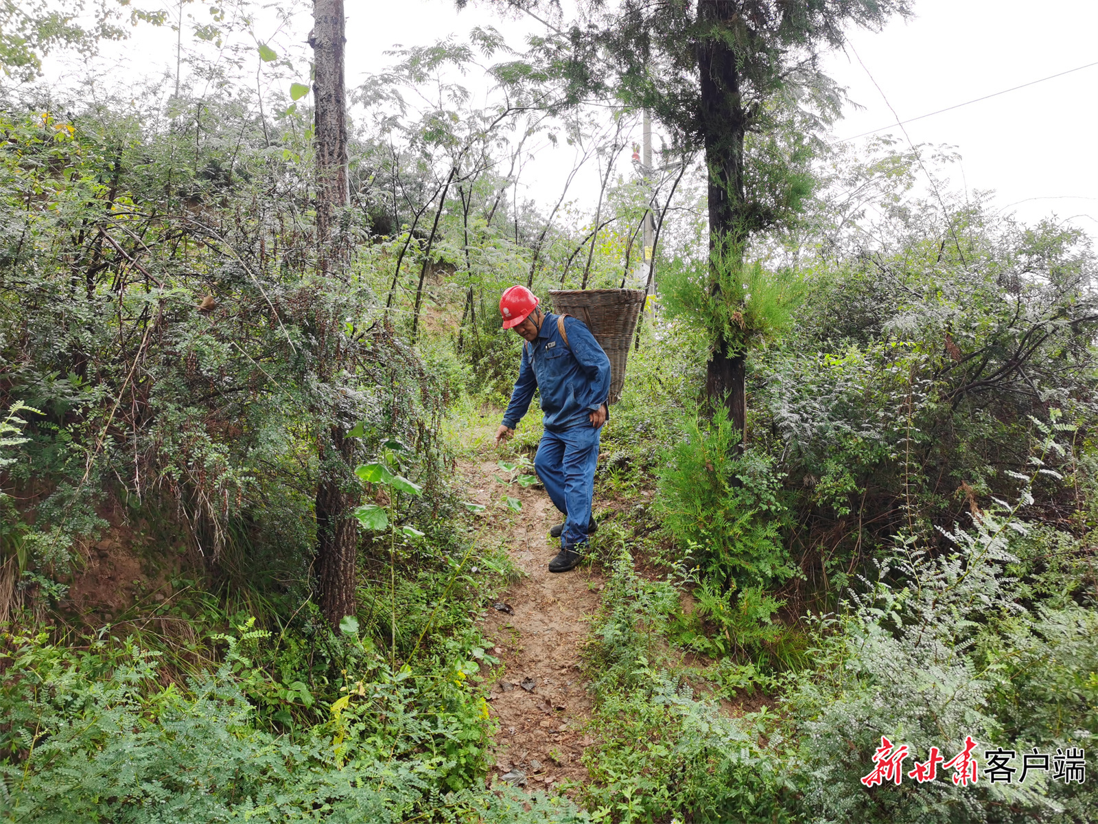 “背篓电工”在山林间