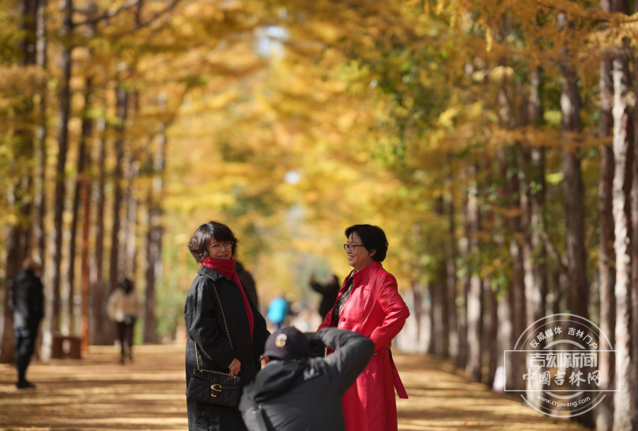 市民前来拍照打卡