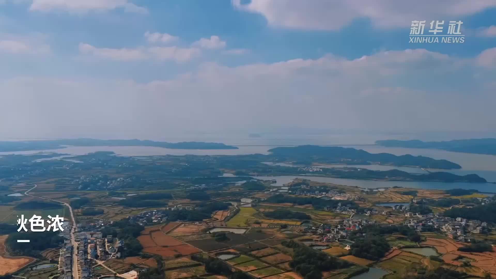 鄱阳湖畔秋色浓