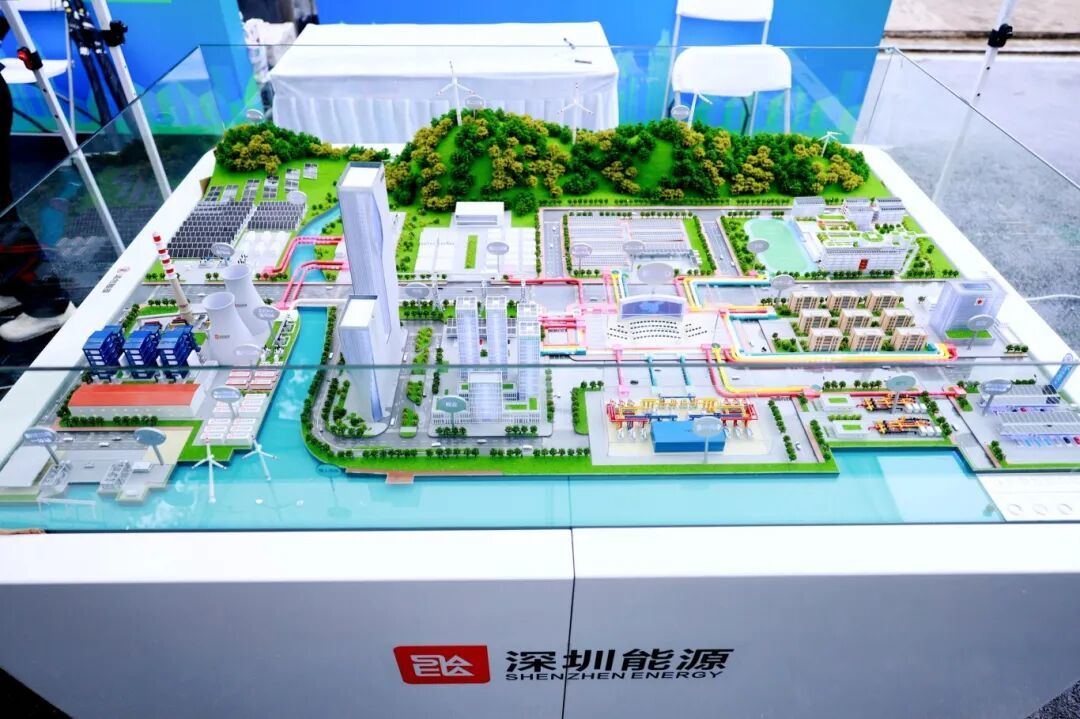 龙岗融媒记者 李凯 摄