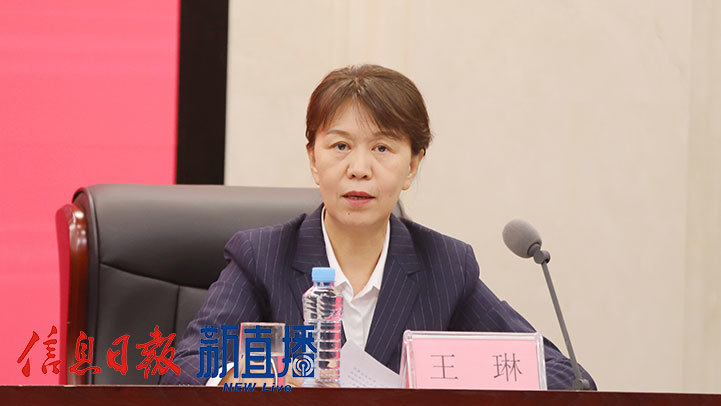 省生态环境厅二级巡视员、总工程师王琳