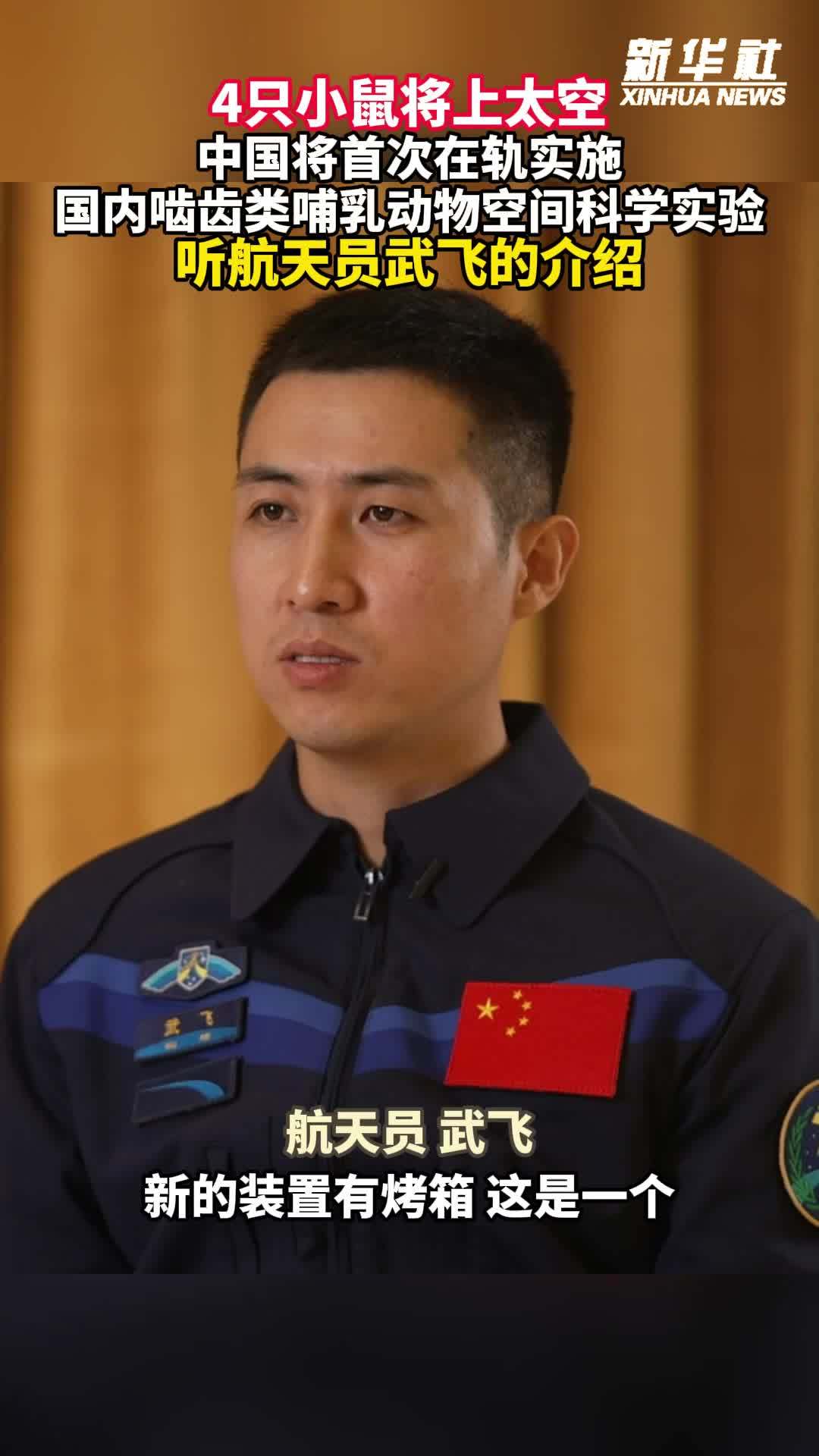 秀我中国｜中国将首次在轨实施国内啮齿类哺乳动物空间科学实验，来听航天员武飞的介绍
