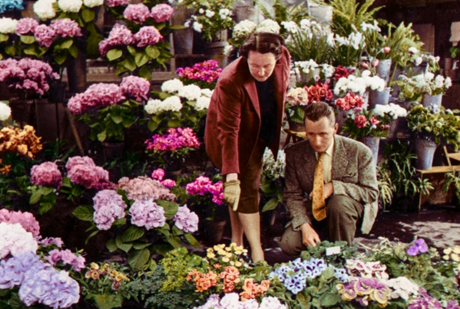 卡特琳娜·迪奥在巴黎中央市场花市,约一九五零年。图片来源:迪奥