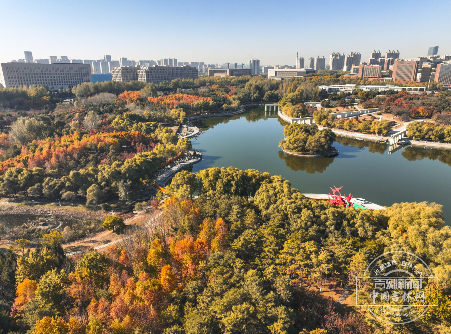 长春世界雕塑园秋景正盛 市民赏秋好去处