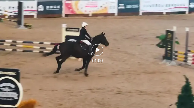 点击图片打开视频