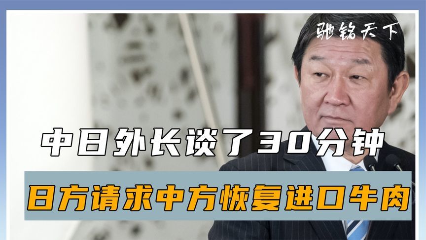 中日外长谈了30分钟，日本对华提出两个要求，王毅直接反将一军