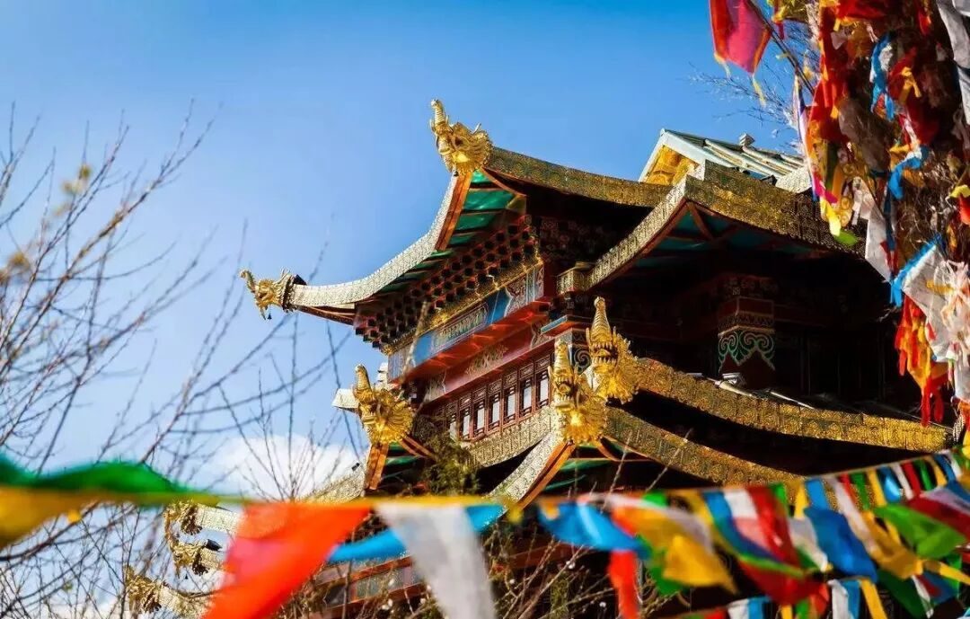 AG尊龙凯时- 尊龙凯时官方网站- 尊龙凯时APP下载《徽州女人》免费在线观看-国产剧全集-舜启影院