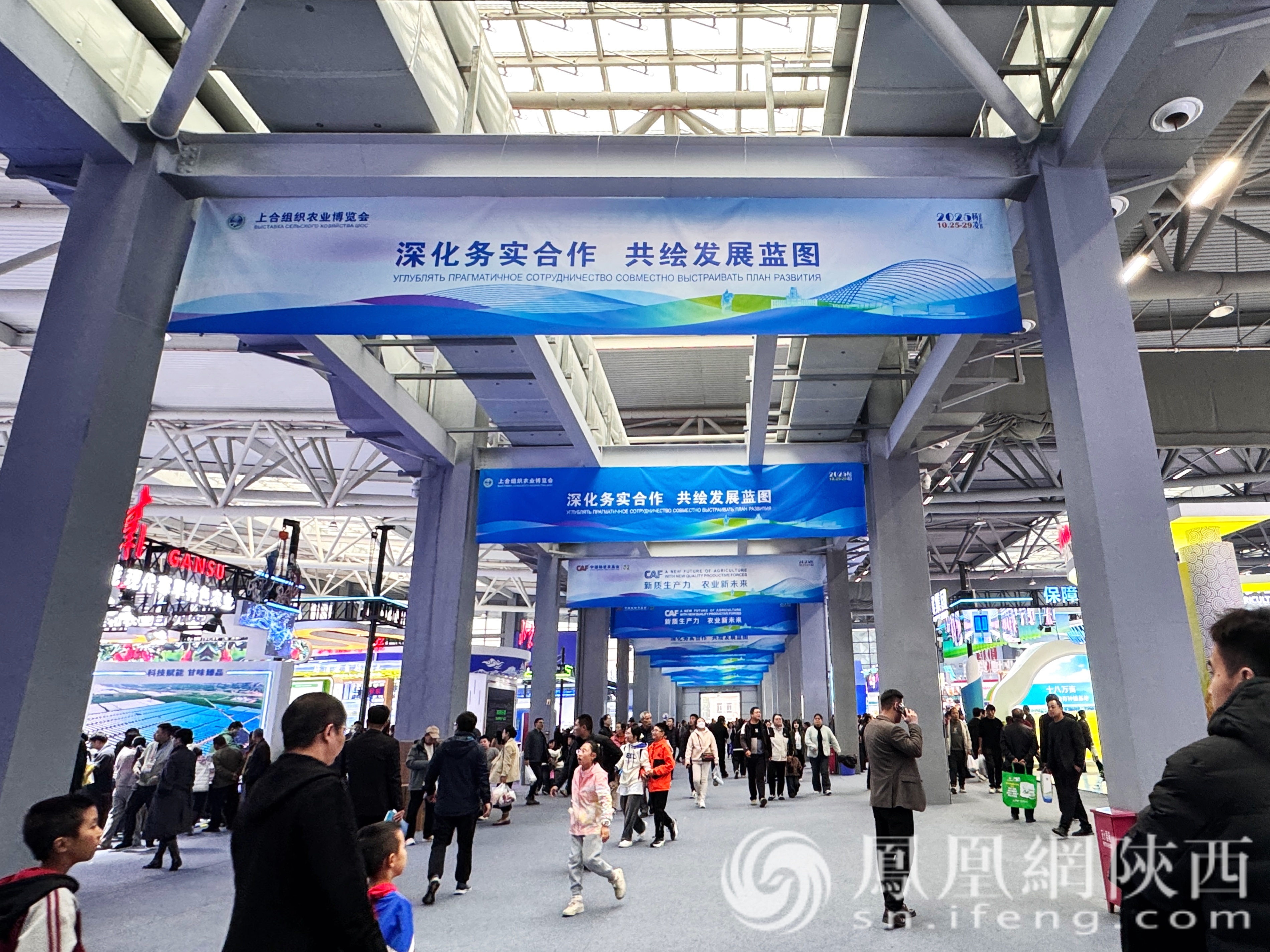 聚焦农高会：科技赋能农业 从“田间”到“云端”的革新实践