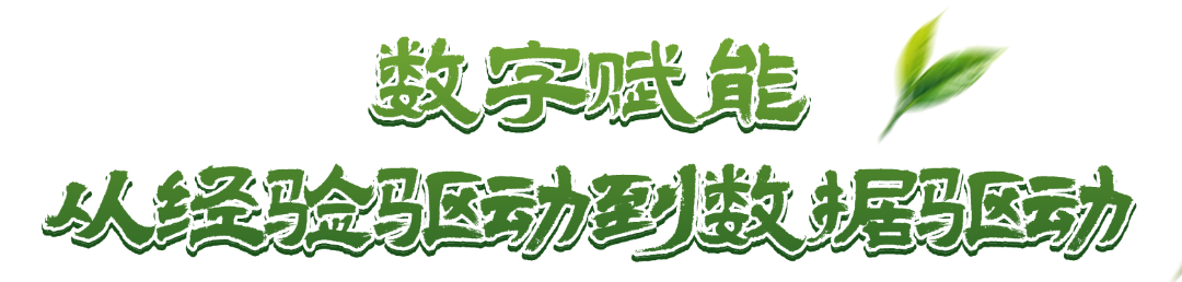 上市！“高端中国茶第一股”，来自深圳罗湖！
