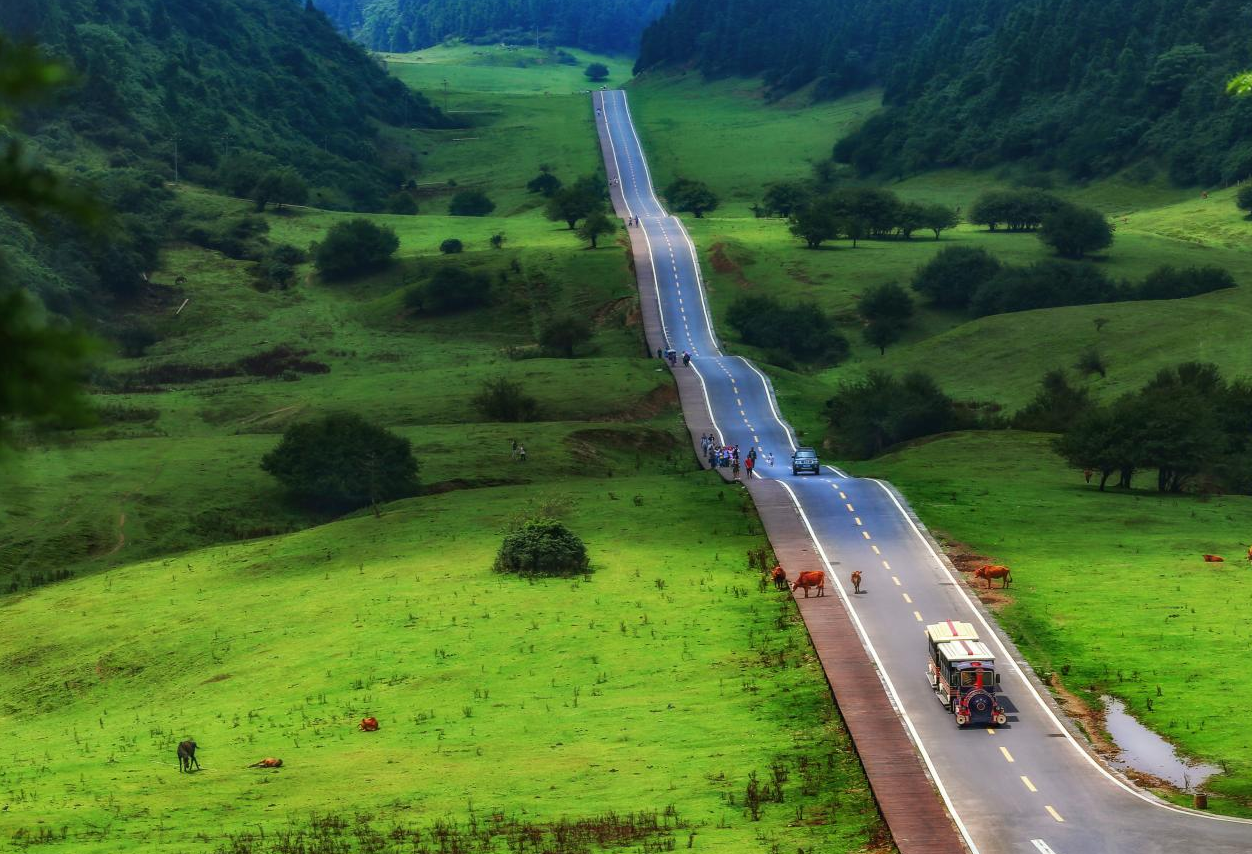 仙女山大草原。重庆市商务委供图