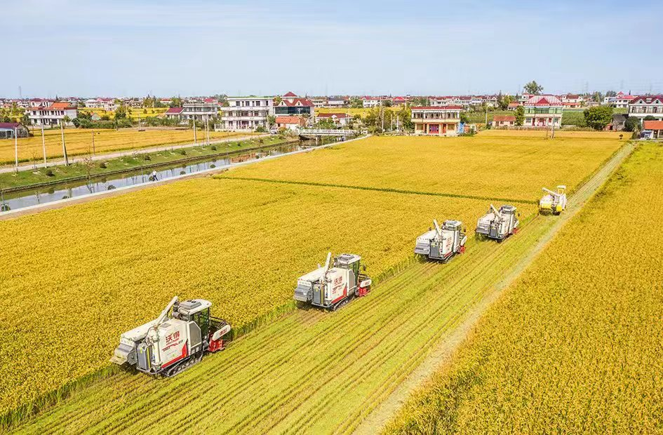 图源:通州三农热线