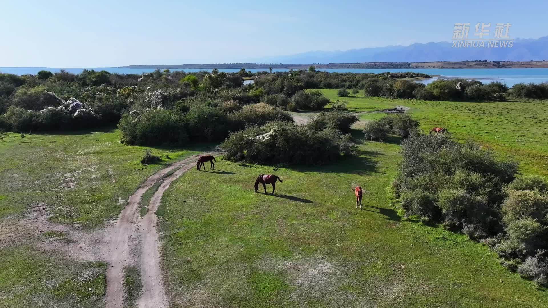 伊塞克湖南岸掠影