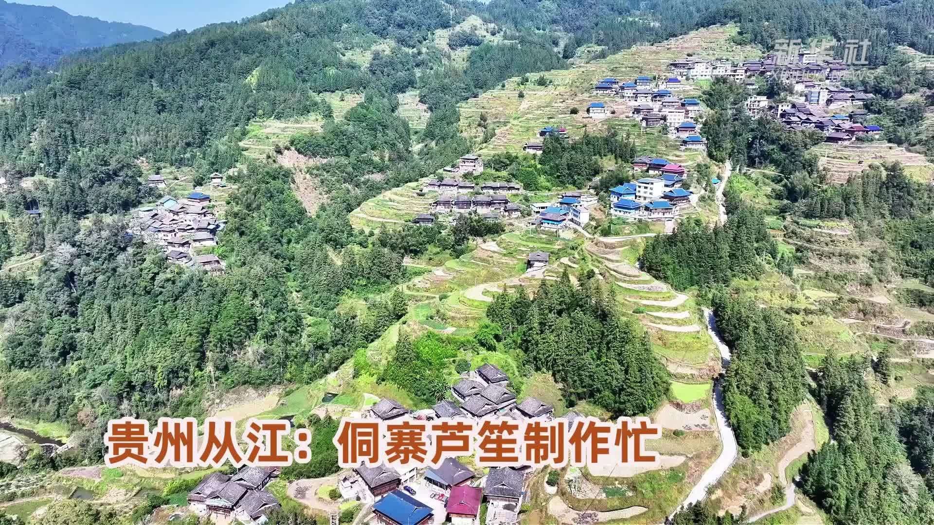 贵州从江：侗寨芦笙制作忙