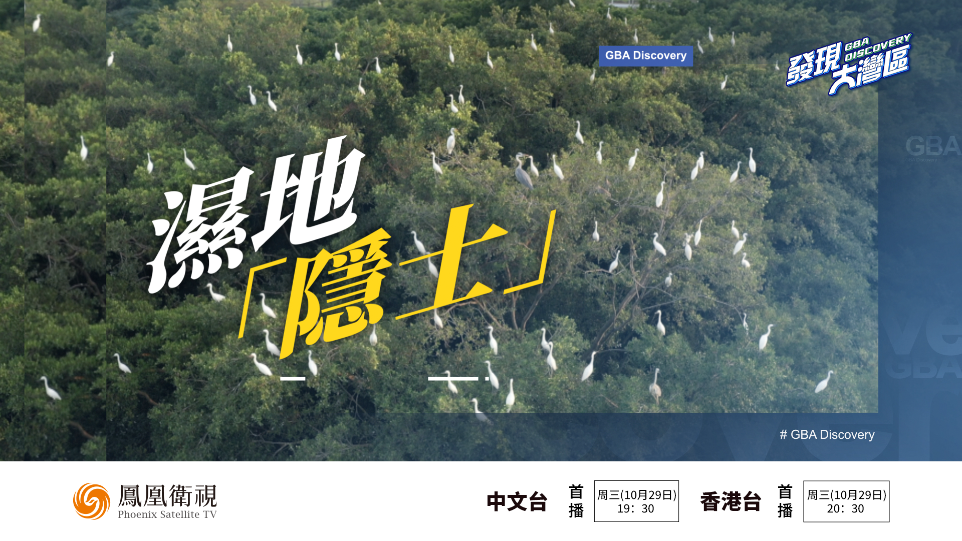 预告｜湿地“隐士”